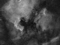 Туманность Северная Америка (NGC7000) и туманность Пеликан (IC5070)