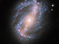 NGC 6217