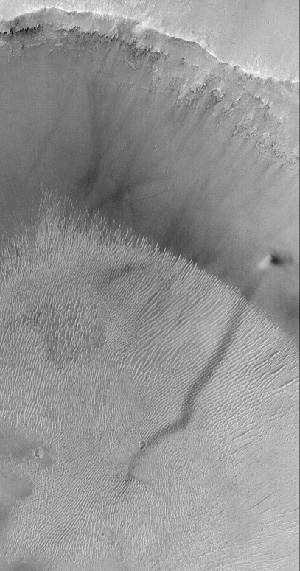 Пылевой смерч на Марсе и его след.
