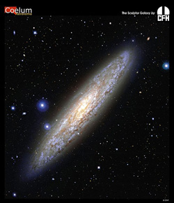 Галактика NGC 253 в Скульпторе